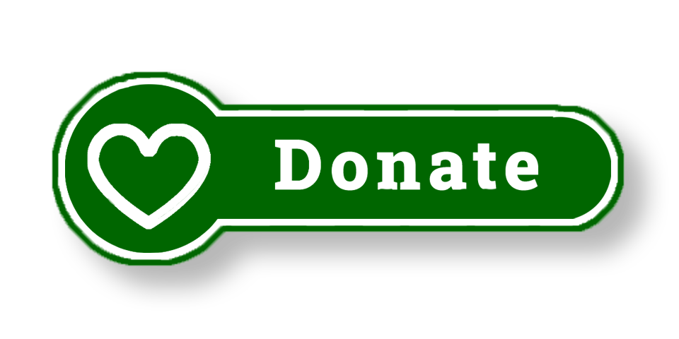 donate button