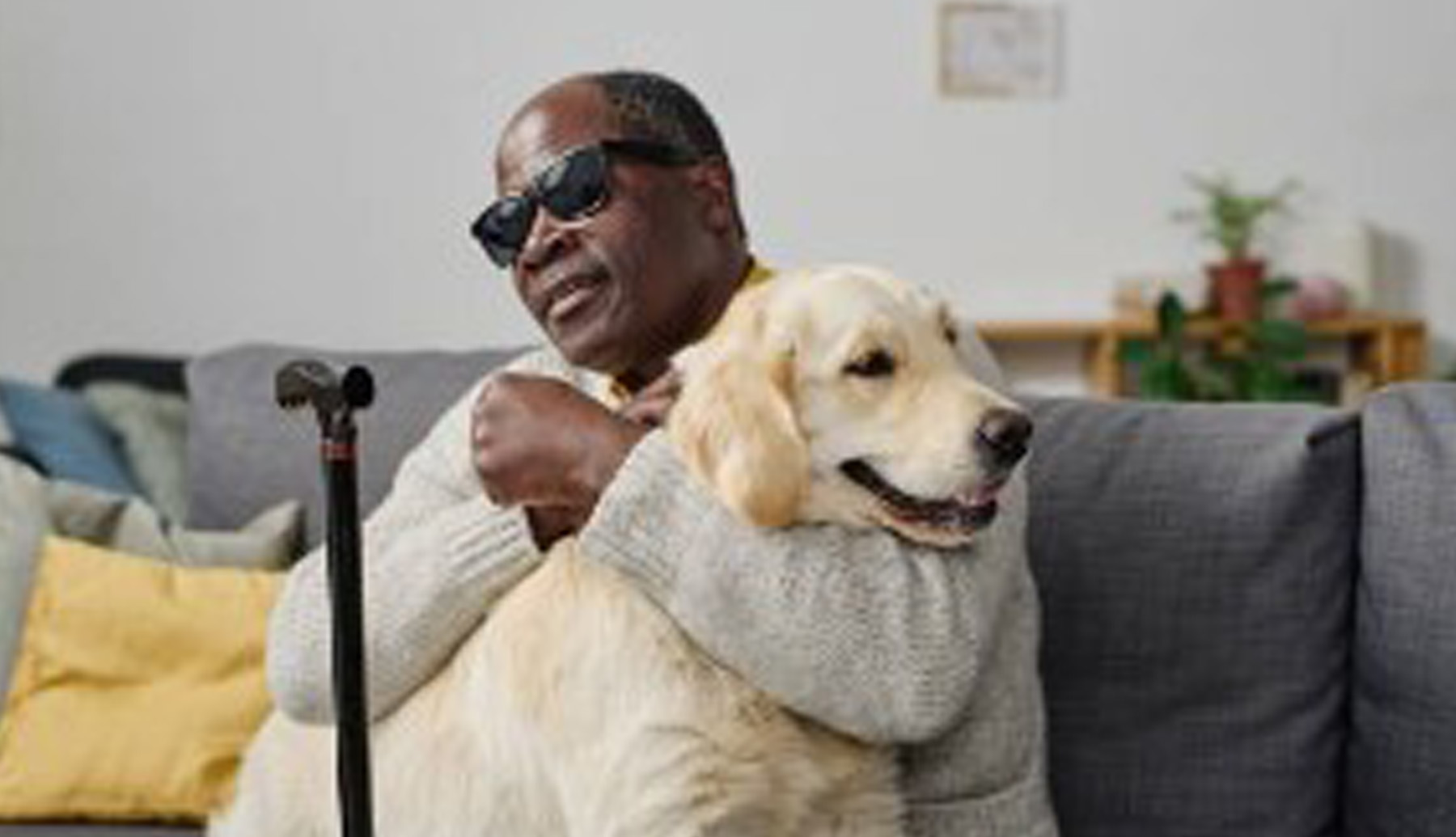 Service Dog and its Human Partner