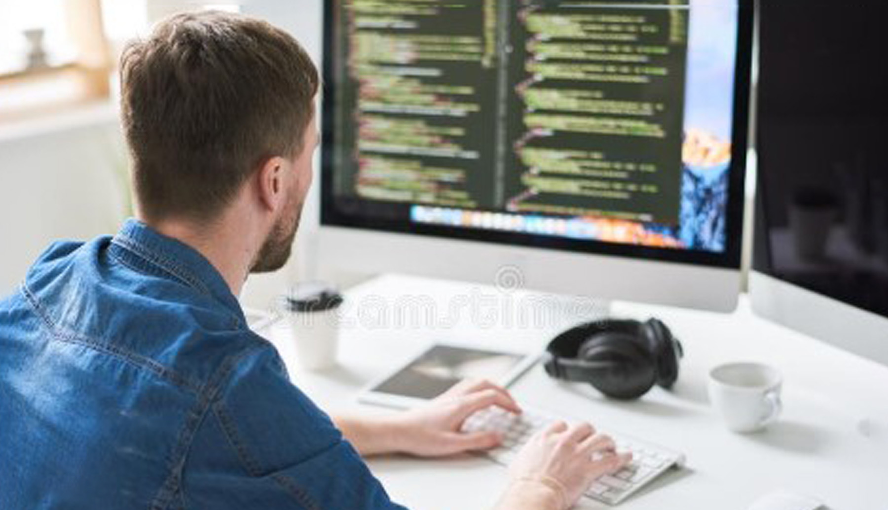 picture of a Website developer